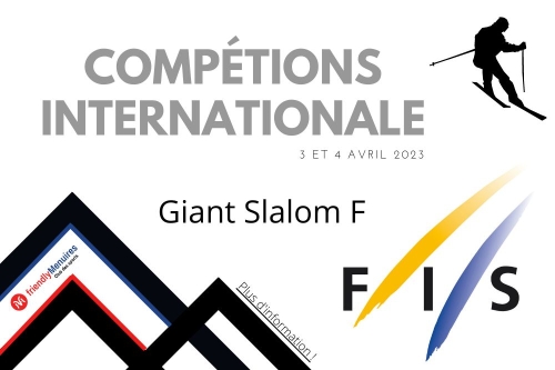 FIS - Compétions international