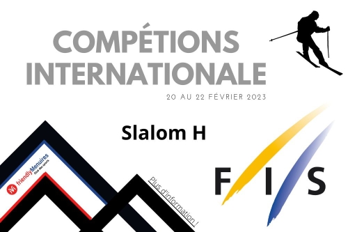 FIS - Compétions international